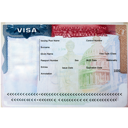 Passport with USA visa entry admitted